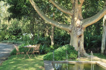 Hippo Hollow Gardens 3