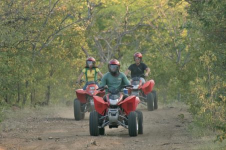 Livingstone Quad Company 2