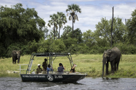 Victoria Falls River Safaris 1