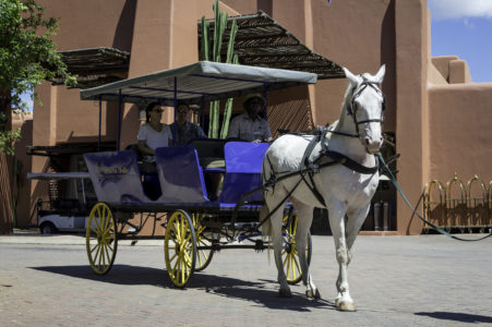 Victoria Falls Horse Safaris 1