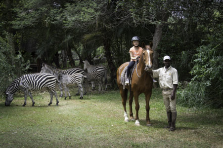Victoria Falls Horse Safaris 2