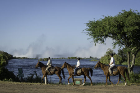 Victoria Falls Horse Safaris 4