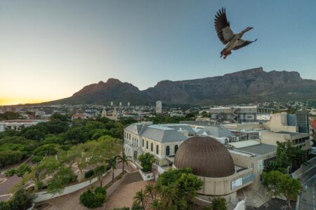 Cape Town Hollow – View from Mountain Facing Room