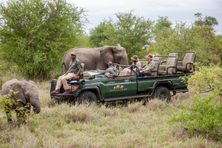 Kings Camp Game Drives 3