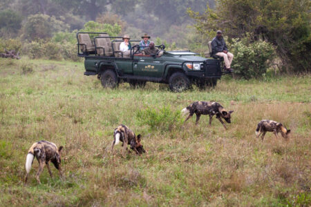 Kings Camp Game Drives 5