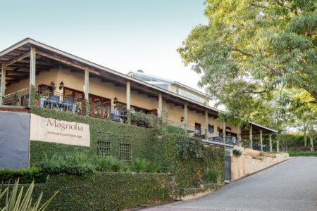 Casterbridge Hollow Magnolia 19