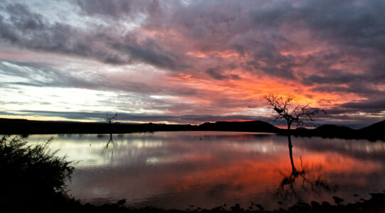 Tuningi – Sunset
