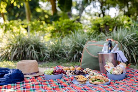 Perrys Bridge Picnic 1