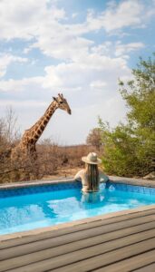 Tuningi – Family Pool Deck