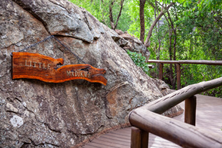 Little Madikwe 1